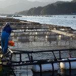 Notice: Mie Prefecture Higashi Kishu Press Tour