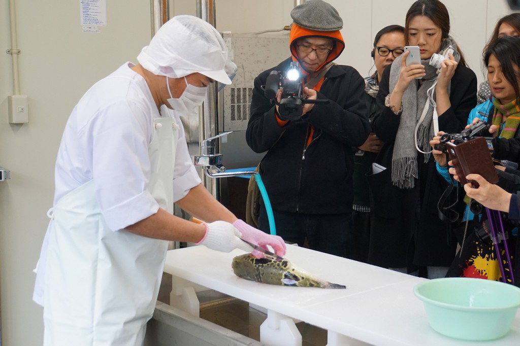 5 Fugu processing